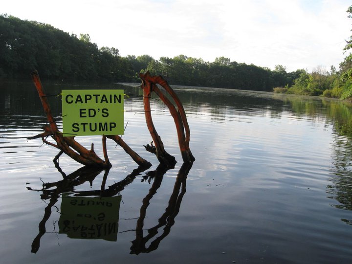 Captain Ed's Stump.jpg